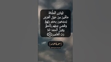 سورة الزمر الآية ٧٥ بصوت الشيخ محمد صديق المنشاوي