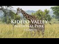 Safari in Uganda - Kidepo Valley National Park - Karamoja Region