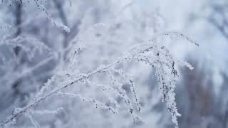 The Elder Scrolls II: Daggerfall - Snowing [Extended]