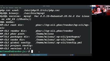 WordPress Through The Terminal