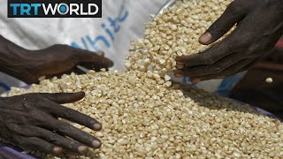 Money Talks: Genetically modified corn now legal in Uganda