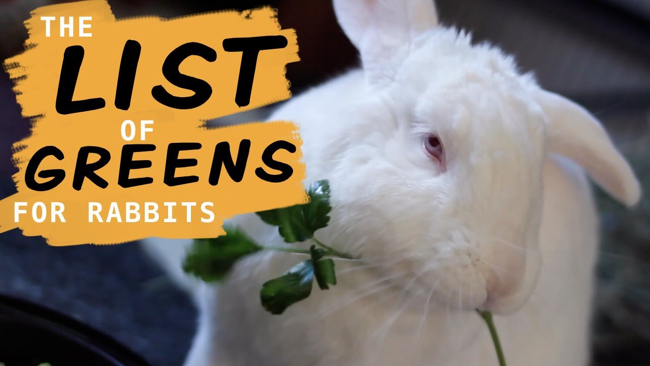 Leafy Greens For Rabbits (And What Not To Give Them)