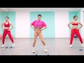 25 Mins Aerobic Workout Reduction Of Belly Fat Quickly | Eva Fitness