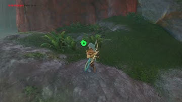 [DAY 278] of finding one korok seed everyday until Botw2 comes out