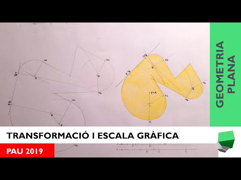 Transformacions - Escala, triangulació i tangències -  PAU 2019 - Geometria Plana