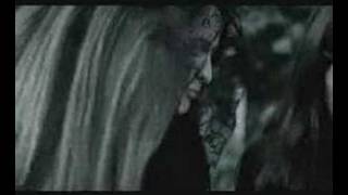 Masters funeral - Emotional dog