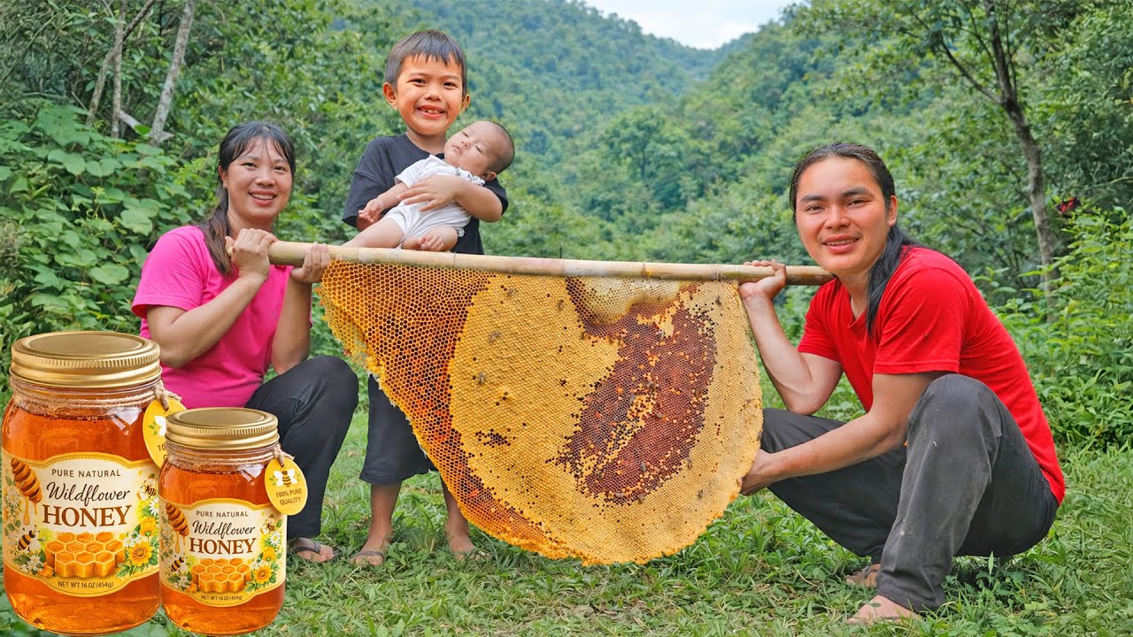 Harvesting Giant Beehives – The Process of Producing Natural Honey for Market Sale | SURVIVAL ALONE