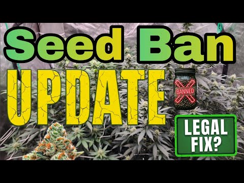 Seed Ban Update, Legal Fix?