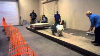 UKC Weight Pull