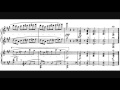 Miniature de la vidéo de la chanson Piano Concerto In F-Sharp Minor, Op. 20: I. Allegro