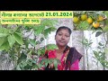 Neelas garden update 210124