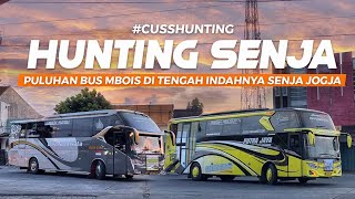 [ HUNTING DI INDAHNYA SENJA KOTA JOGJA ! ] ABSEN PULUHAN BUS MBOIS YANG MASUK GIWANGAN! #CussHunting