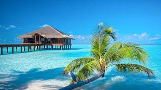 Great relaxing peaceful music 🍀 Music heals the heart and blood vessels #13
