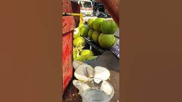 Best Machetes for Coconut Opening: A Practical Comparison