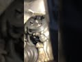 2002 rav4 power steering pump removal.