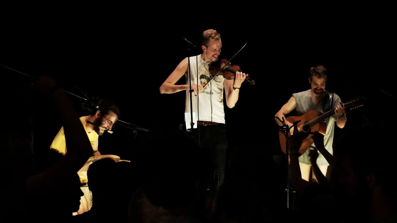 Trio Svin - "Trump Stomp"