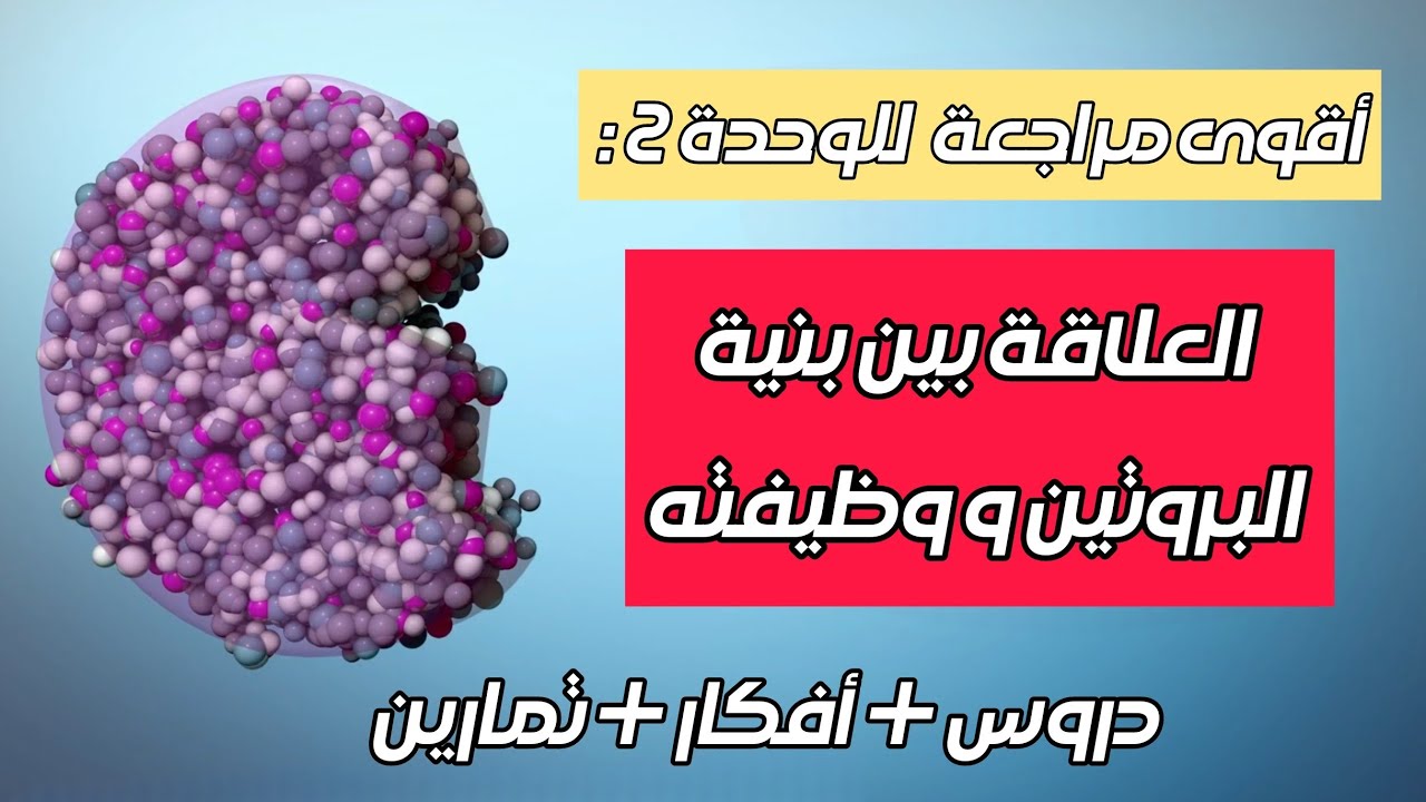 العلاقة بين بنية و وظيفة البروتين