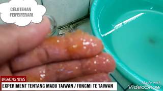 EXPERIMENT TENTANG MADU TAIWAN / FONGMI TE TAIWAN