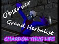 Observer and Grand Herbalist - Momentary on Project 1999