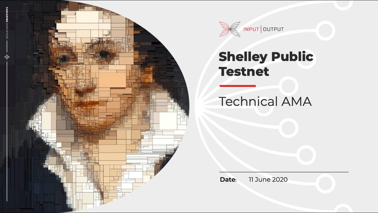 Shelley Public Testnet Tech AMA: June 11th 2020