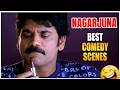 Nagarjuna Best Comedy Scenes  | Back To Back Comedy || Latest Telugu Comedy Scenes || iDream 360