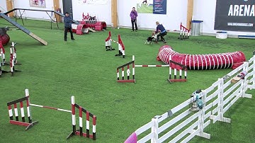 International Agility Training Week - Practicing The Reverse Spin - preview