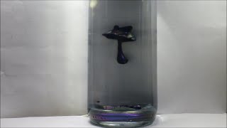 automated colorful ferrofluid display prototyp v2