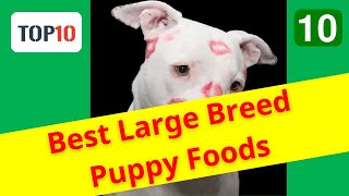 Top 10 Best Large Breed Puppy Foods- Eukanuba Large Breed Dry Dog Food(Reviews)✅Part 10