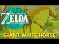 Zelda: Tears of the Kingdom - Giant White Stallion Location
