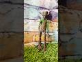 Action figure Groot #miniature #review #toys #actionfigures #groot #avengers #marvel #superhero