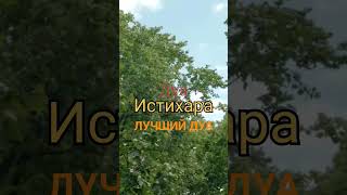 Дуа Истихара #дуа #истихара #исцеление #коран #сунна #суннапророкамухаммадаﷺ