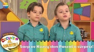 Sarp Ve Kuzeyden Pascala Sürpriz