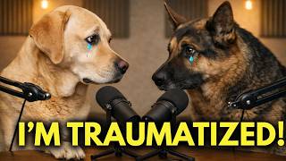 Your Dog Will Never Forgive These Things- Most Owners Dont Know This