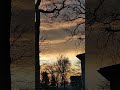 Sunrise Symphony Electron Driven Chorus of #birds