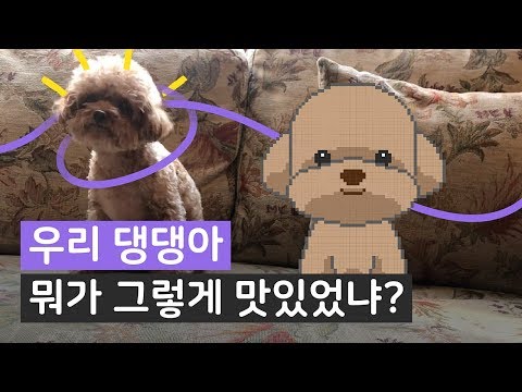 [eng <strong>cc</strong>] What should I do <strong>about</strong> my dog&amp;#39;s diet?/ 강아지는 다이어트를 어떻게 할까? 반려인들 주목!! [애니멀피플]
