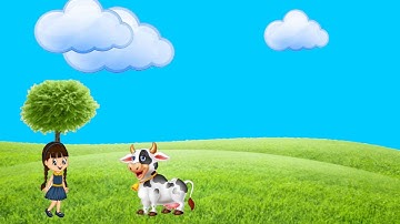 Explaindio Animation | Explaindio Cartoon video