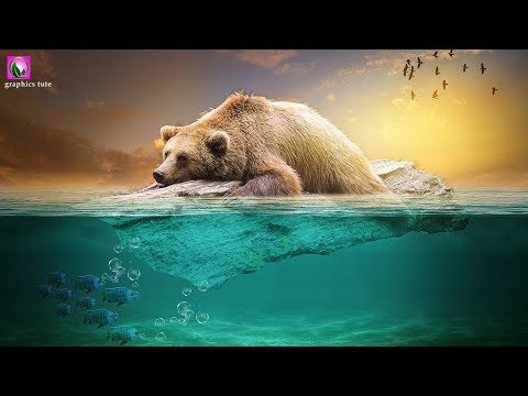 Bear Sleeping  On Water - Under water  Manipulation Tutorial - Photoshop Photo Effect