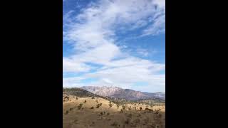 Şakiro Dile Rezil ✌️✌️