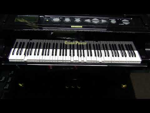 グランドピアニストに ベイ・シティ・ローラーズ(Bay City Rollers) の 二人だけのデート(I only wnna be with you) を弾かせてみた