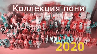 :    (My little pony) 2020