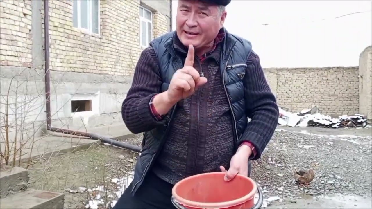 995528678 тел ракам Шамиль!