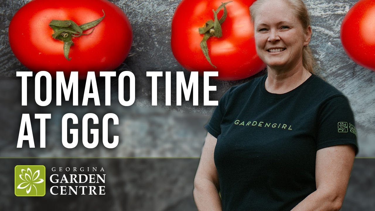 You Say Tomato, We Say Tomato: 