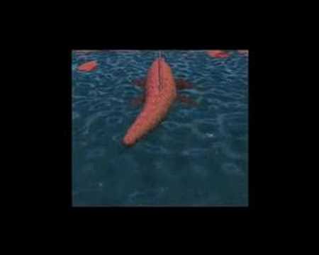 Re: Learn Maya 8.5, Part 6/2