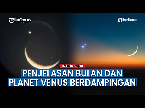 Video: Adakah berdampingan bermakna?