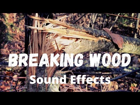 Breaking Wood Sound Effect - Crate Shattering