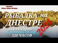 РЫБАЛКА на ДНЕСТРЕ 2021 КРАТКИЙ ОБЗОР ловля карпа 120 ЧАСОВ