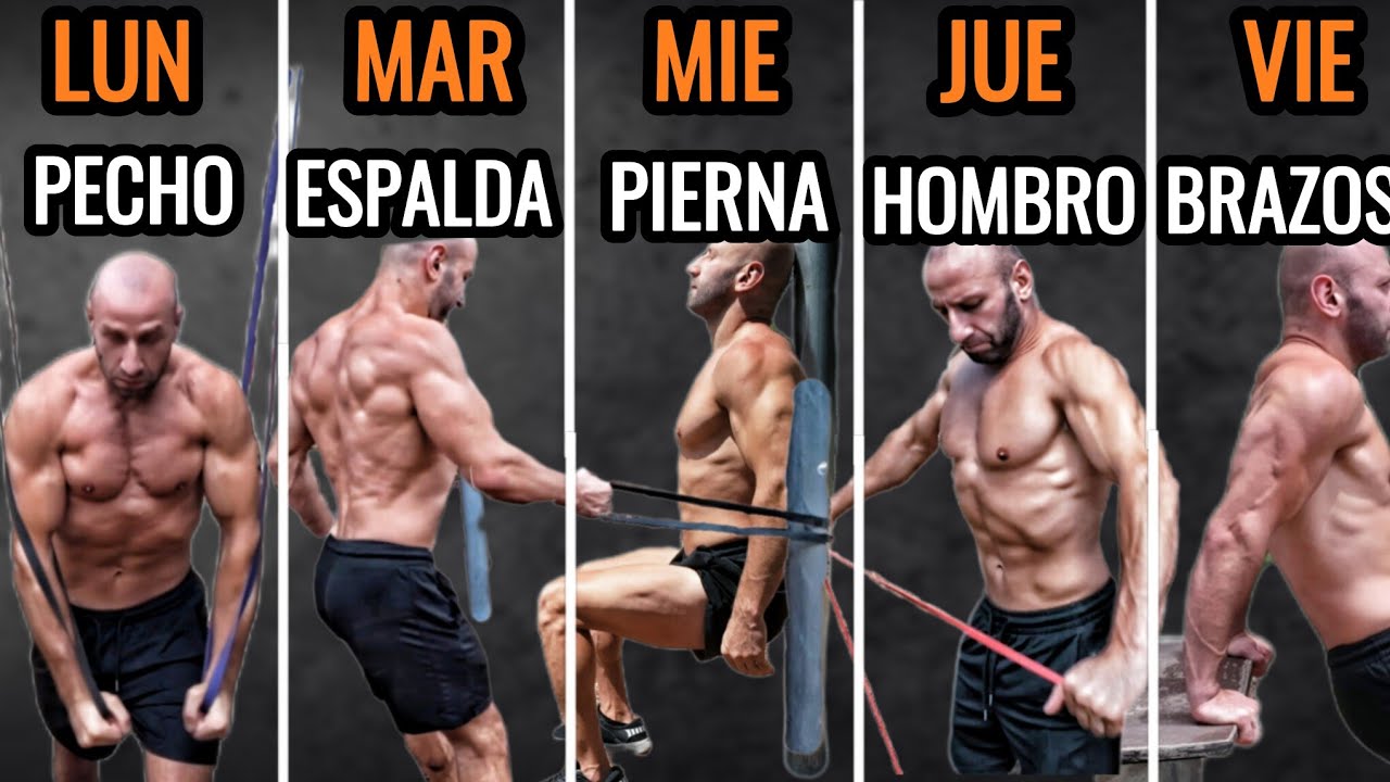 Rutina de 5 DIAS de CALISTENIA Y BANDAS ELASTICAS para ganar MASA MUSCULAR