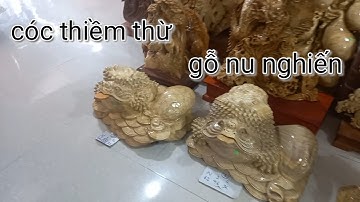 Tác phẩm : cóc ngậm tiền tài lộc , chất liệu gỗ nu nghiến