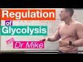 Glycolysis and Its Regulation