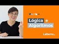 Aula 02  lgica e algoritmos  lgica de programao para iniciantes